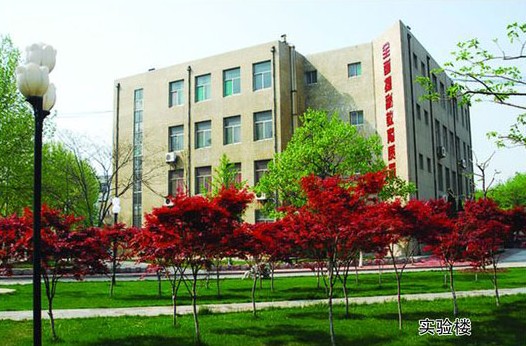 淄博市工業學校開設哪些計算機課程？