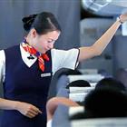 航空服務（票務、安檢方向）、航空乘務定向委培